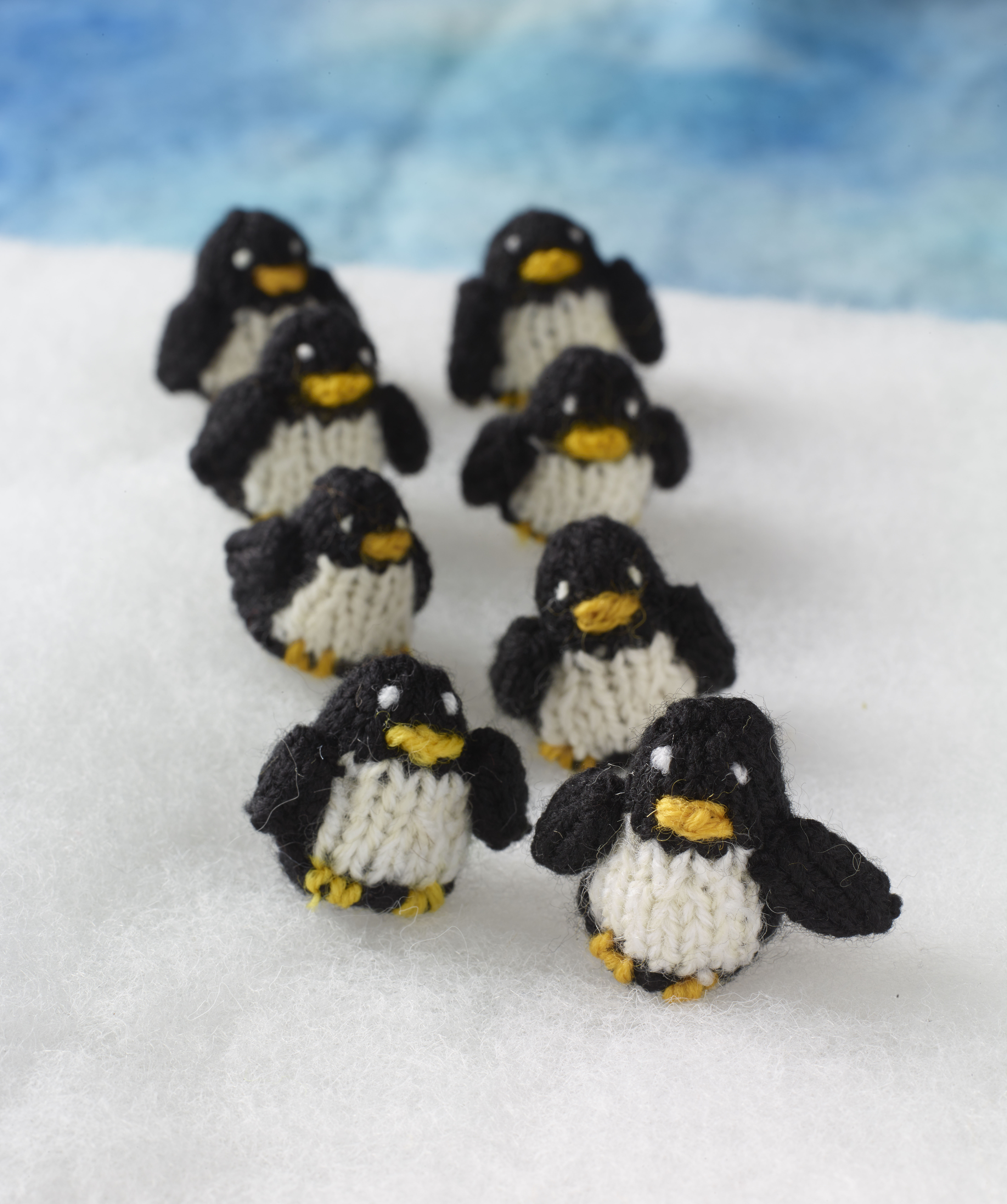 12 Days of Penguin... On the first day of Penguin